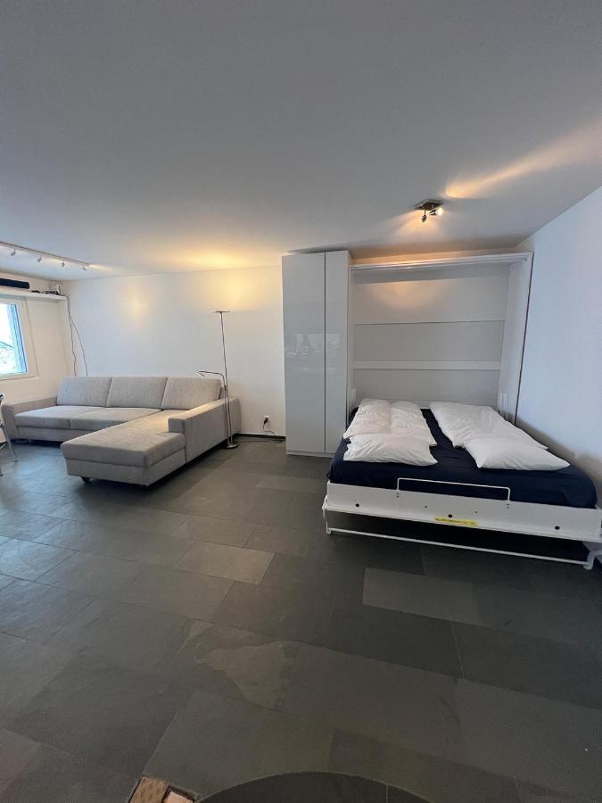 Smarthome Of The World St. Moritz