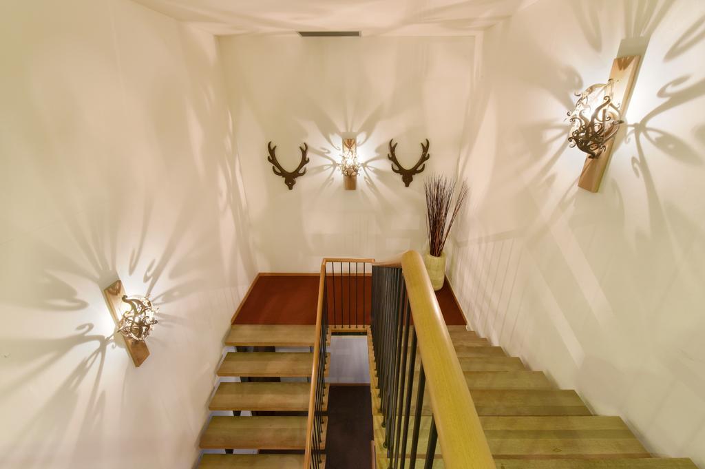 Hotel Piz 3*