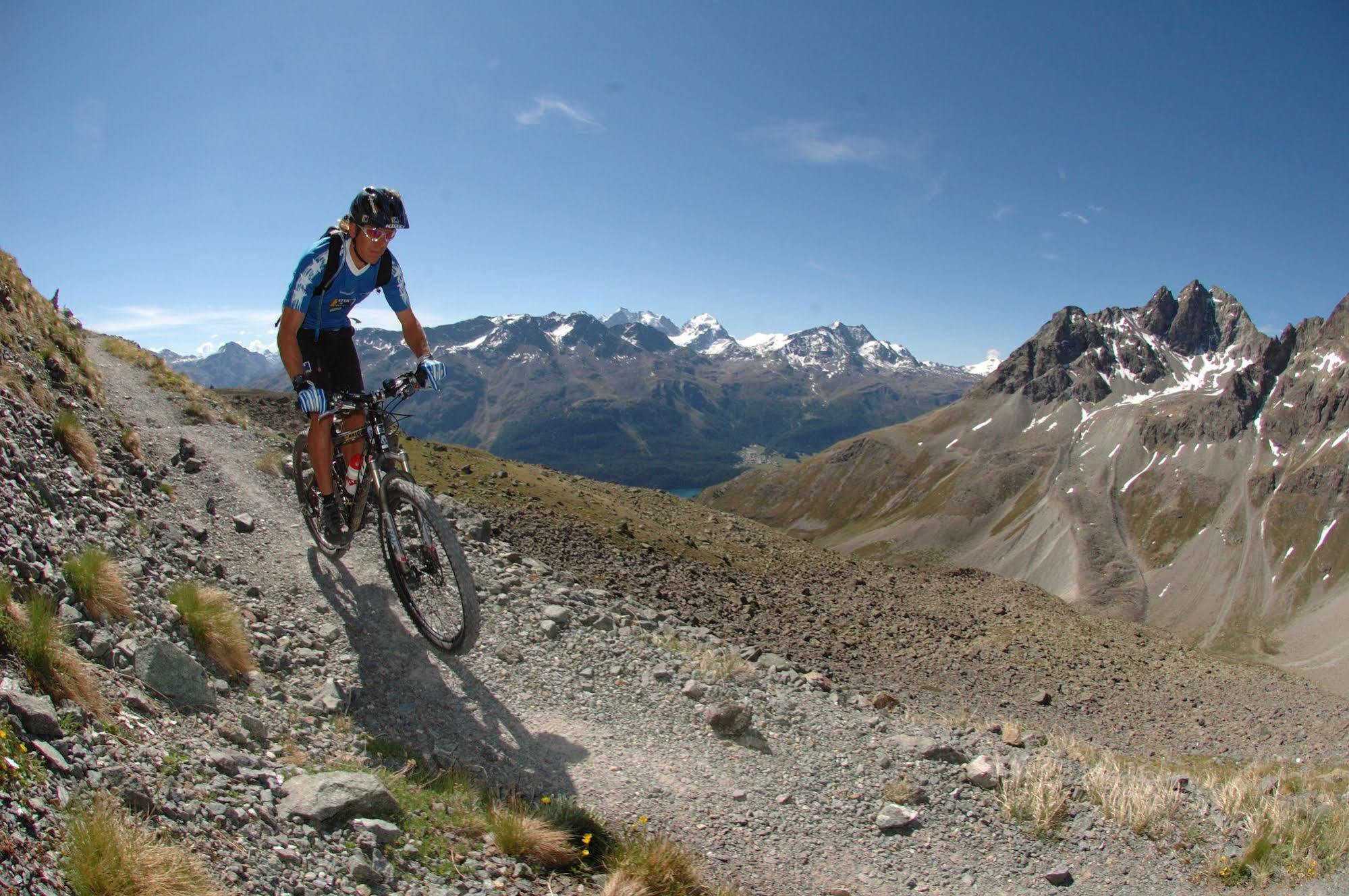 Languard St. Moritz