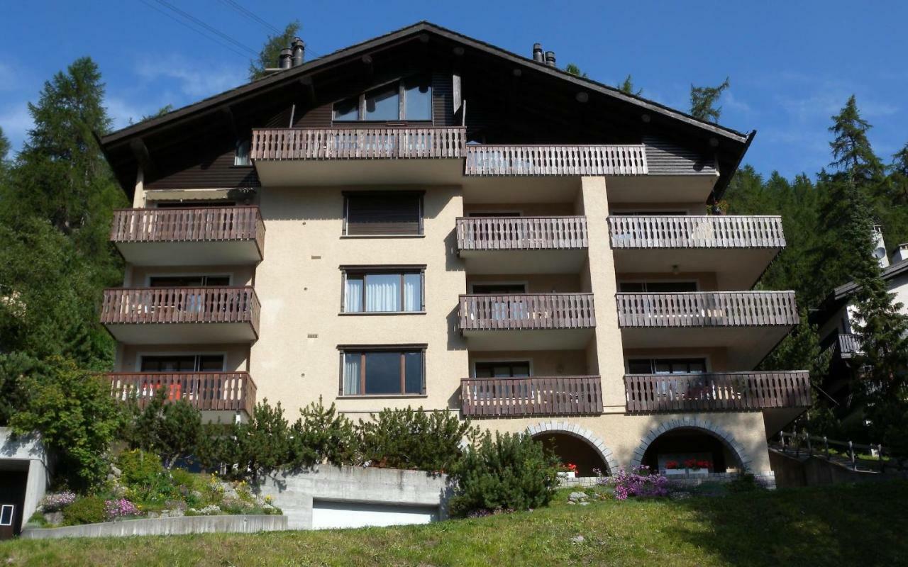 Giant 2 * Sankt Moritz