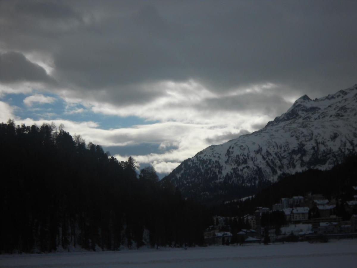Moritz Flat *