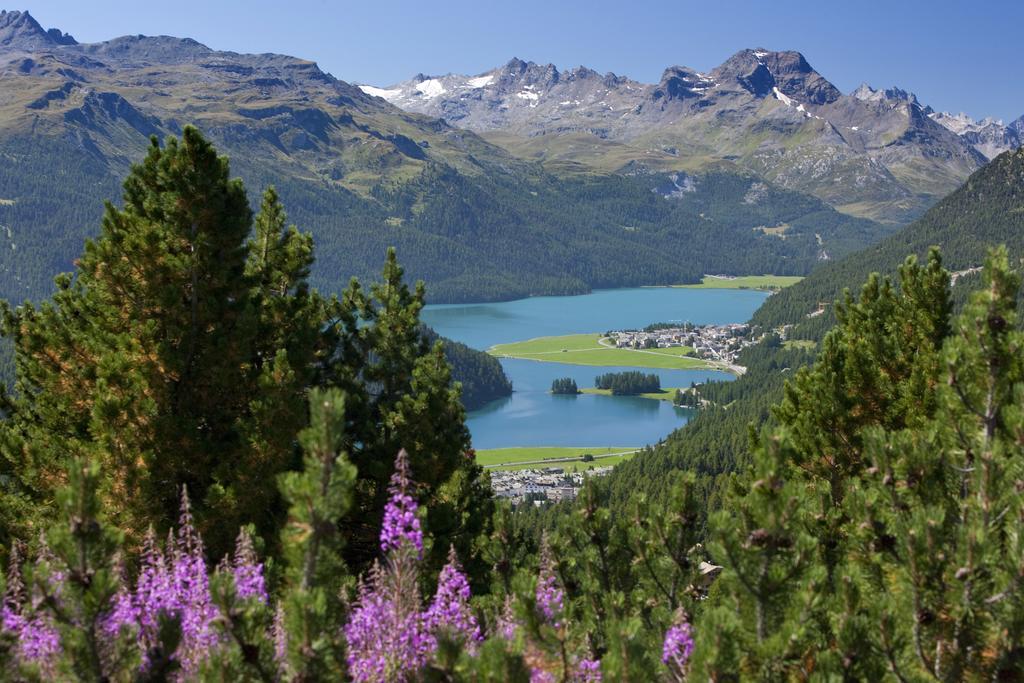 By Randolins St. Moritz