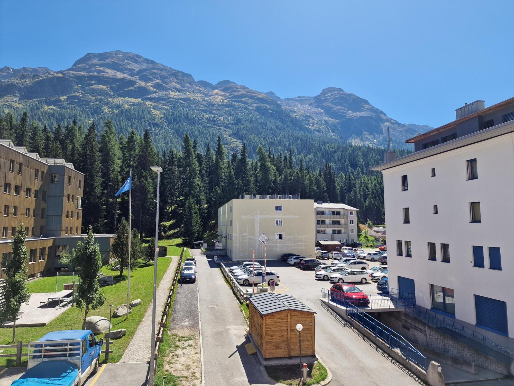 Flora - Sunflower * Sankt Moritz